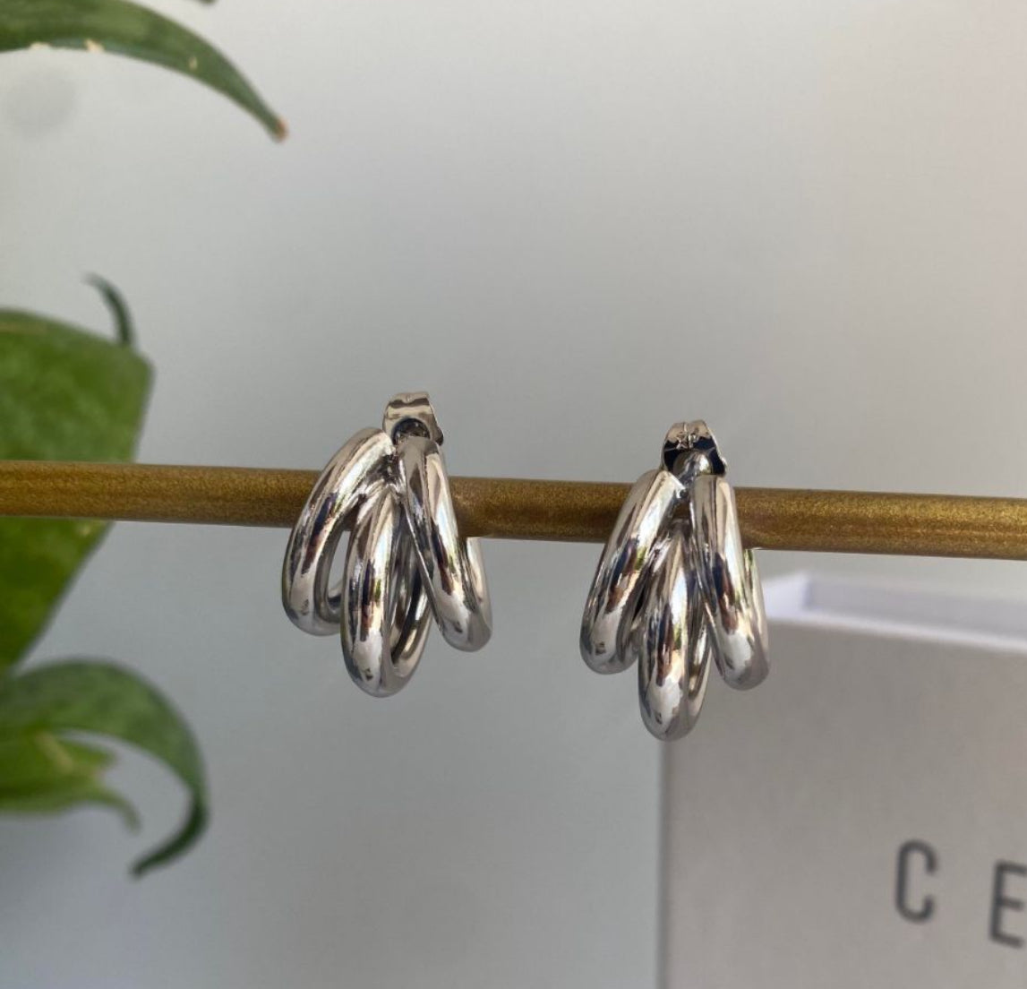 Earrings